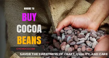 Discover the Best Sources to Buy High-Quality Cocoa Beans Online