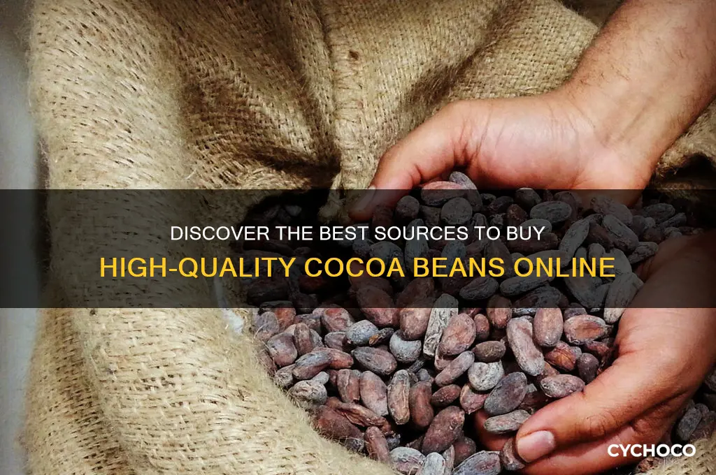 where to buy cocoa beans