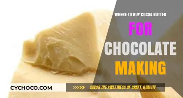 Best Places to Buy Cocoa Butter for Chocolate Making
