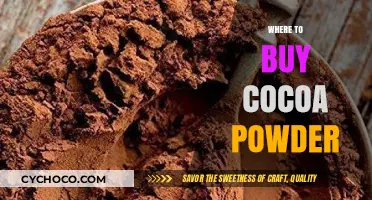 Best Places to Buy High-Quality Cocoa Powder for Baking