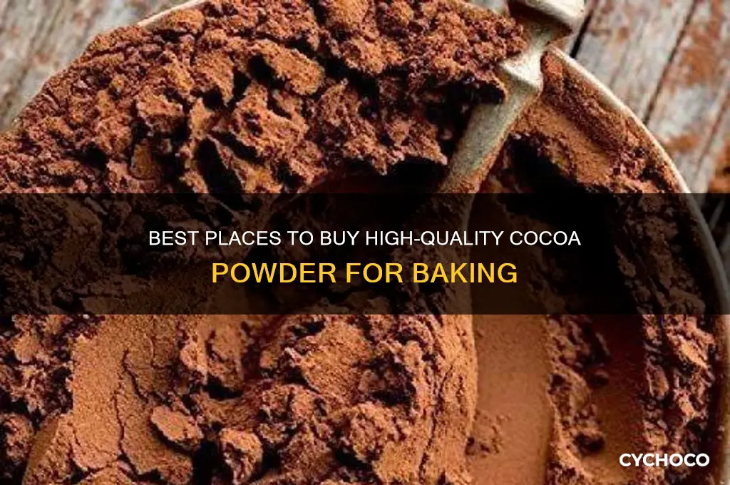where to buy cocoa powder