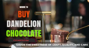 Indulge in Nature's Sweetness: Where to Find Dandelion Chocolate Delights