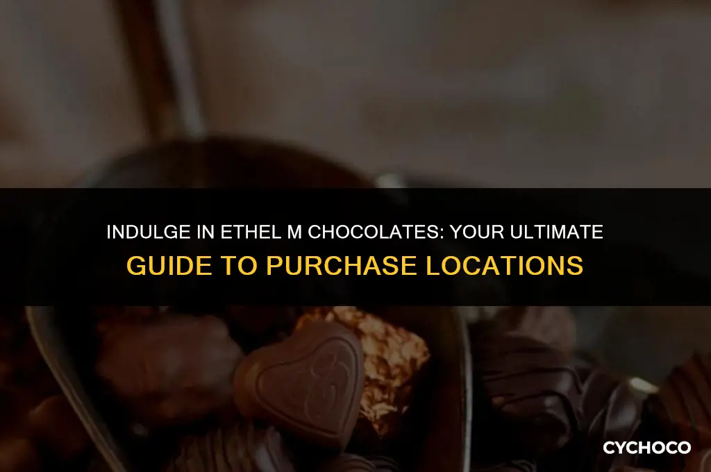 where to buy ethel m chocolates