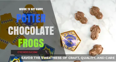 Discover the Best Spots to Buy Harry Potter Chocolate Frogs Online