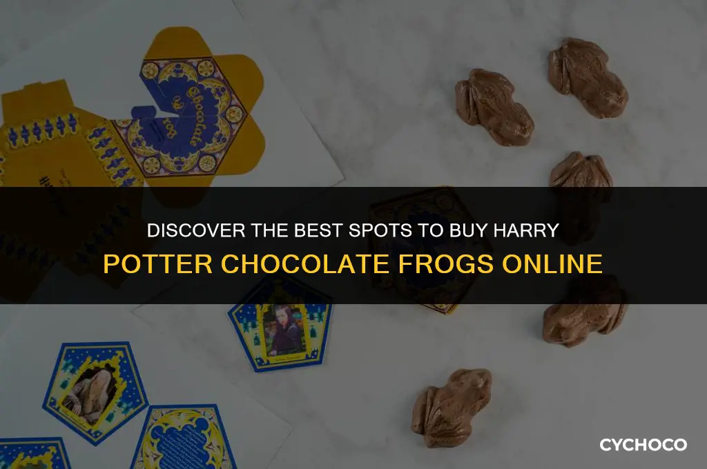 where to buy harry potter chocolate frogs