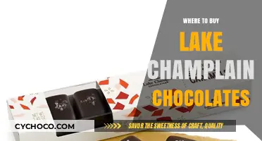 Indulge in Lake Champlain Chocolates: Your Ultimate Buying Guide