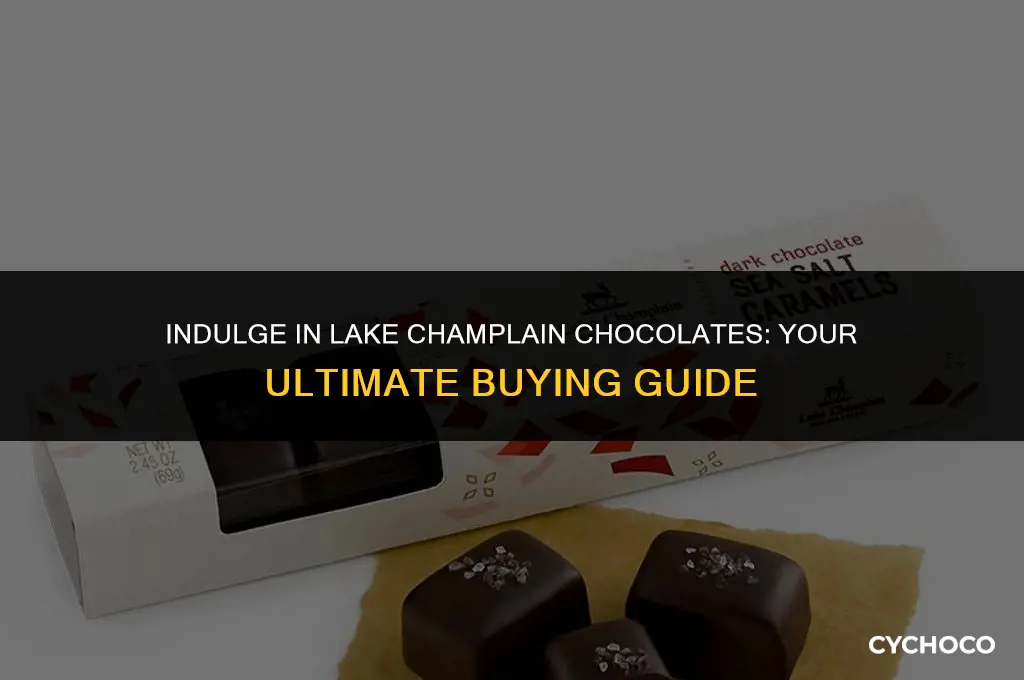 where to buy lake champlain chocolates
