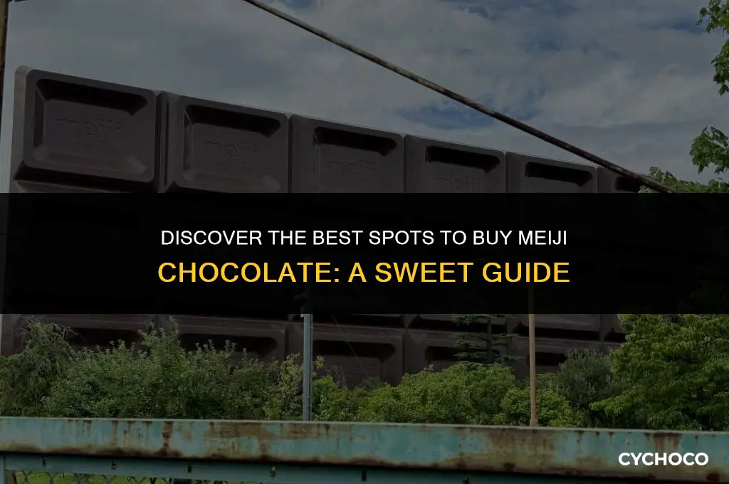 where to buy meiji chocolate
