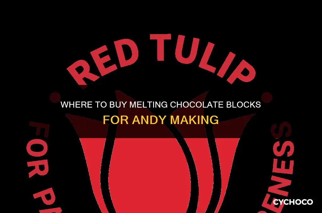 where to buy melting chocolate blocks for andy making