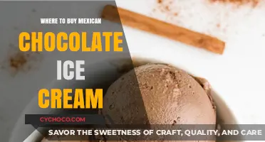 Indulge in the Richness: Where to Find Mexican Chocolate Ice Cream