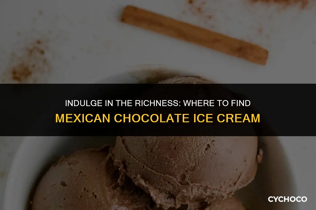 where to buy mexican chocolate ice cream