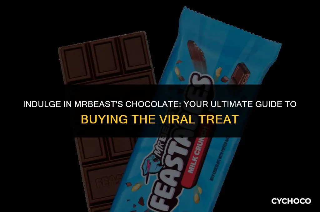 where to buy mr beast chocolate