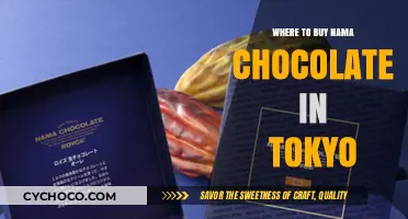 Discovering Tokyo's Best Nama Chocolate: A Gourmet's Guide