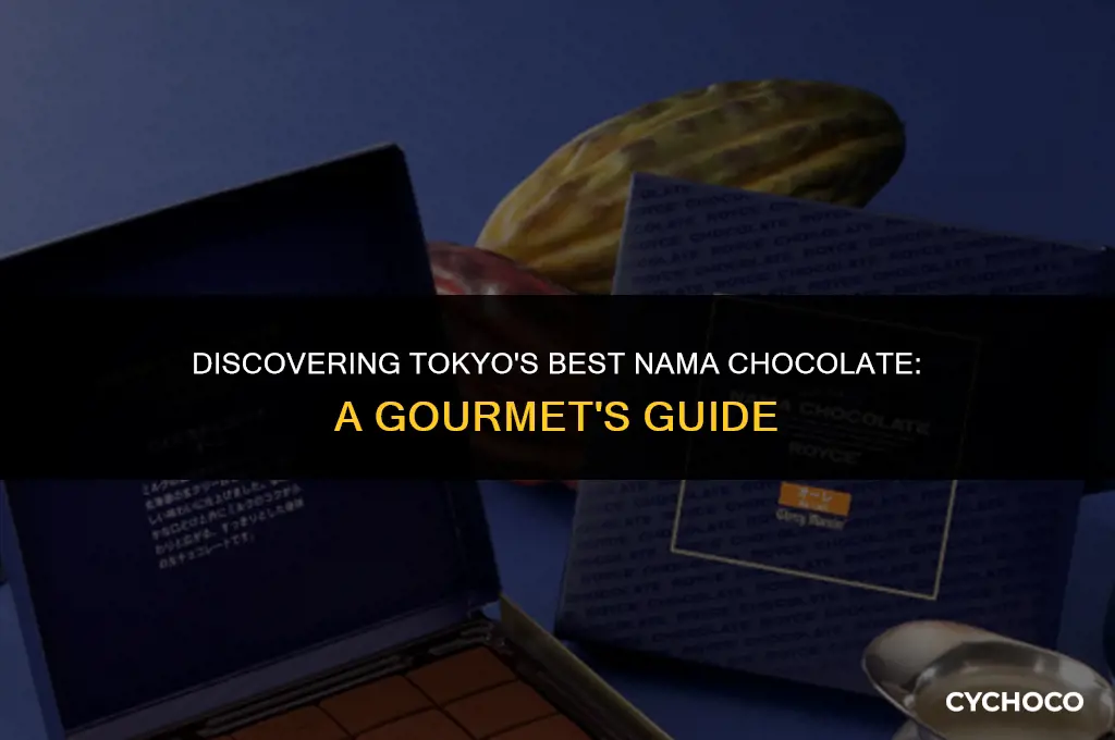 where to buy nama chocolate in tokyo
