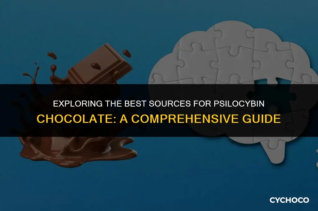 where to buy psilocybin chocolate