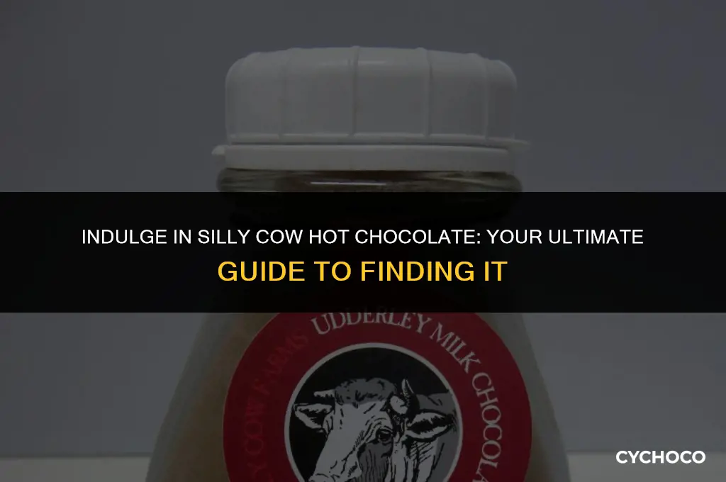 where to buy silly cow hot chocolate