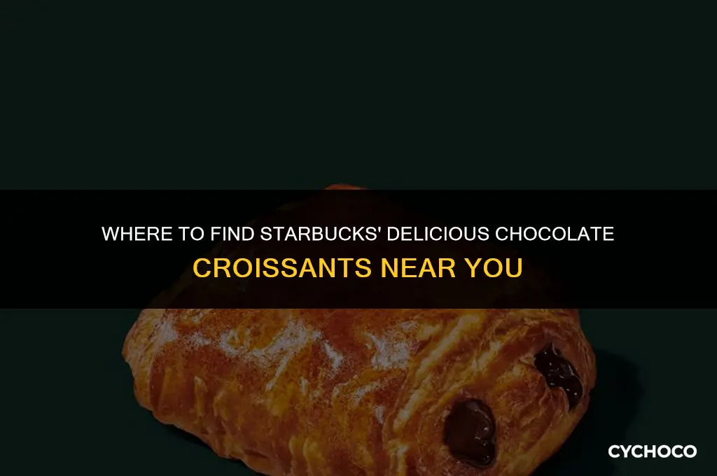 where to buy starbucks chocolate croissant
