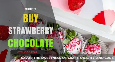 Indulge in Strawberry Chocolate Bliss: Your Ultimate Buying Guide