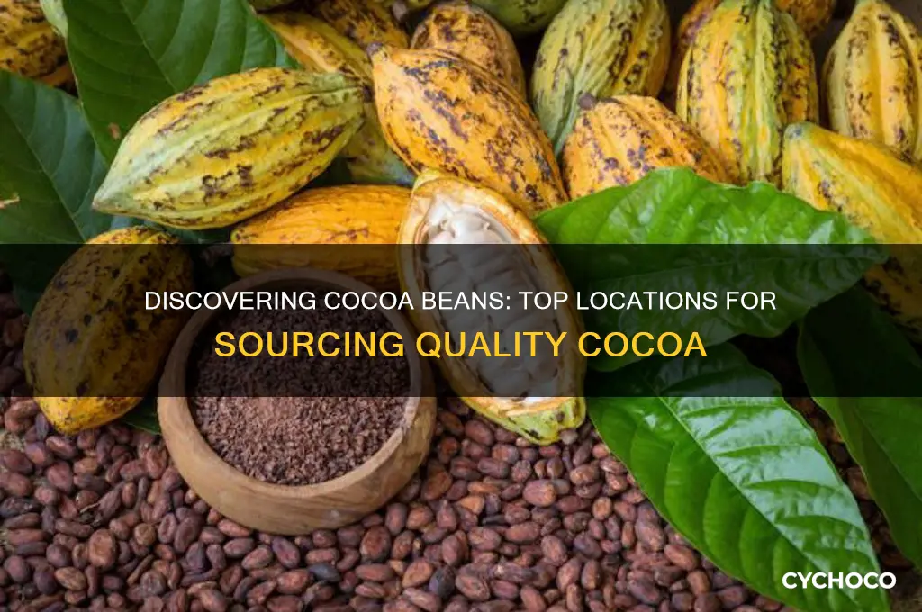 where to find cocoa beans