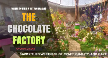 Discovering the Sweet Spots: Where to Find Willy Wonka's Chocolate Factory
