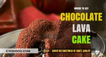 Indulge in Decadence: The Ultimate Guide to Chocolate Lava Cake Hotspots