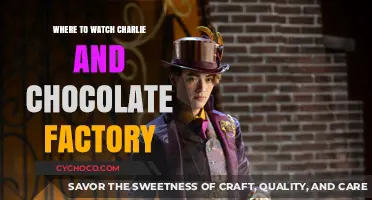 Sweetening Your Screen Time: Where to Stream Charlie and the Chocolate Factory