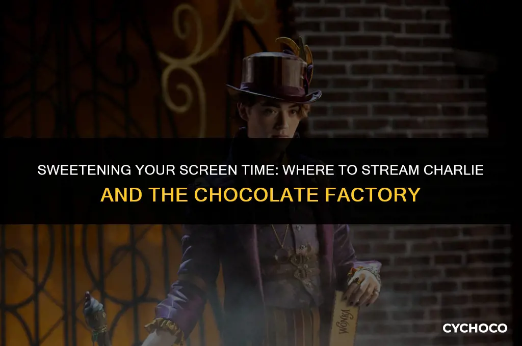 where to watch charlie and chocolate factory