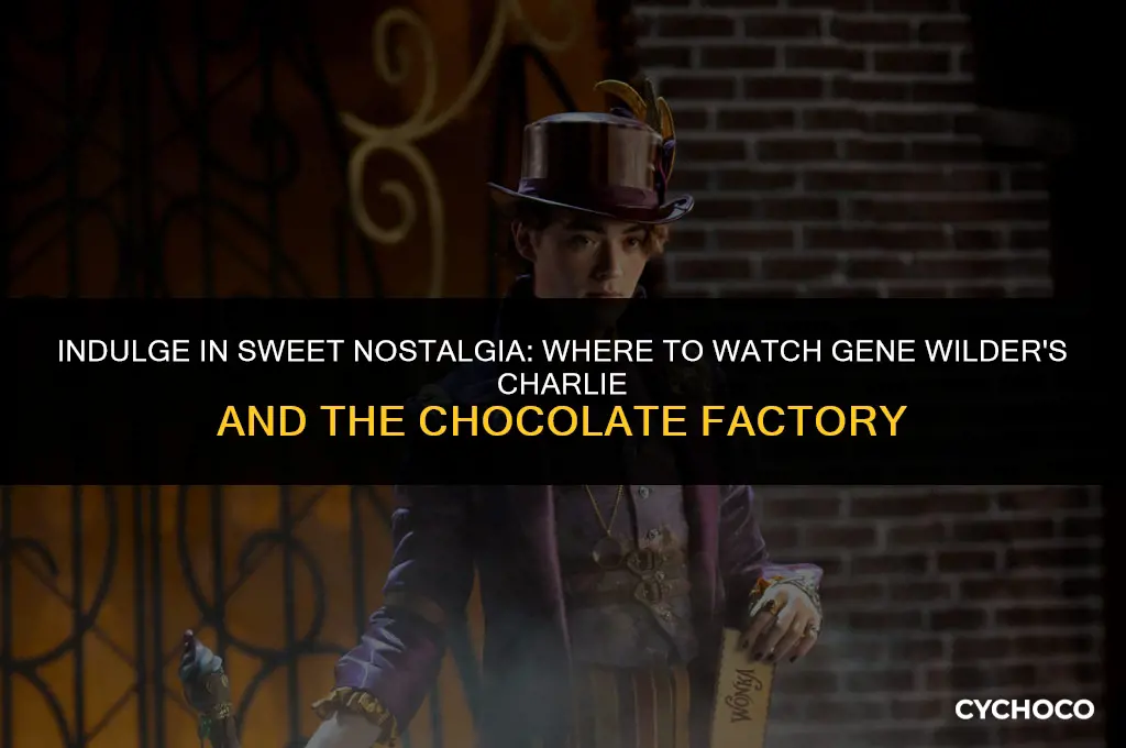 where to watch charlie and the chocolate factory gene wilder