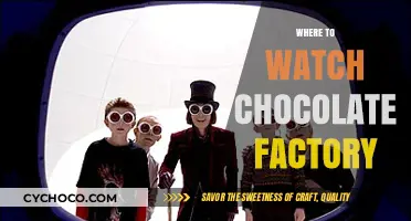 Sweetening Your Screen Time: Top Picks for Chocolate Factory Viewing