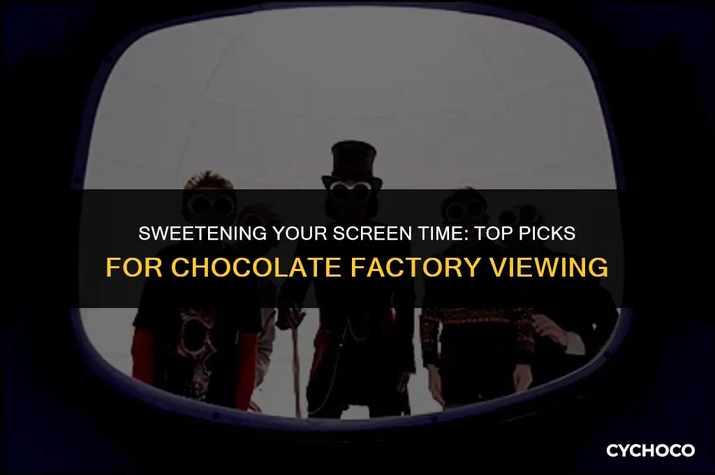 where to watch chocolate factory