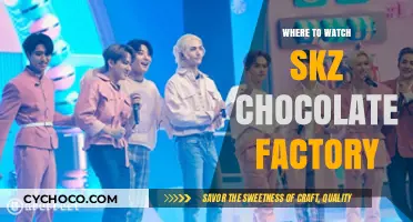 Unveiling the Sweet Spots: Where to Stream SKZ Chocolate Factory