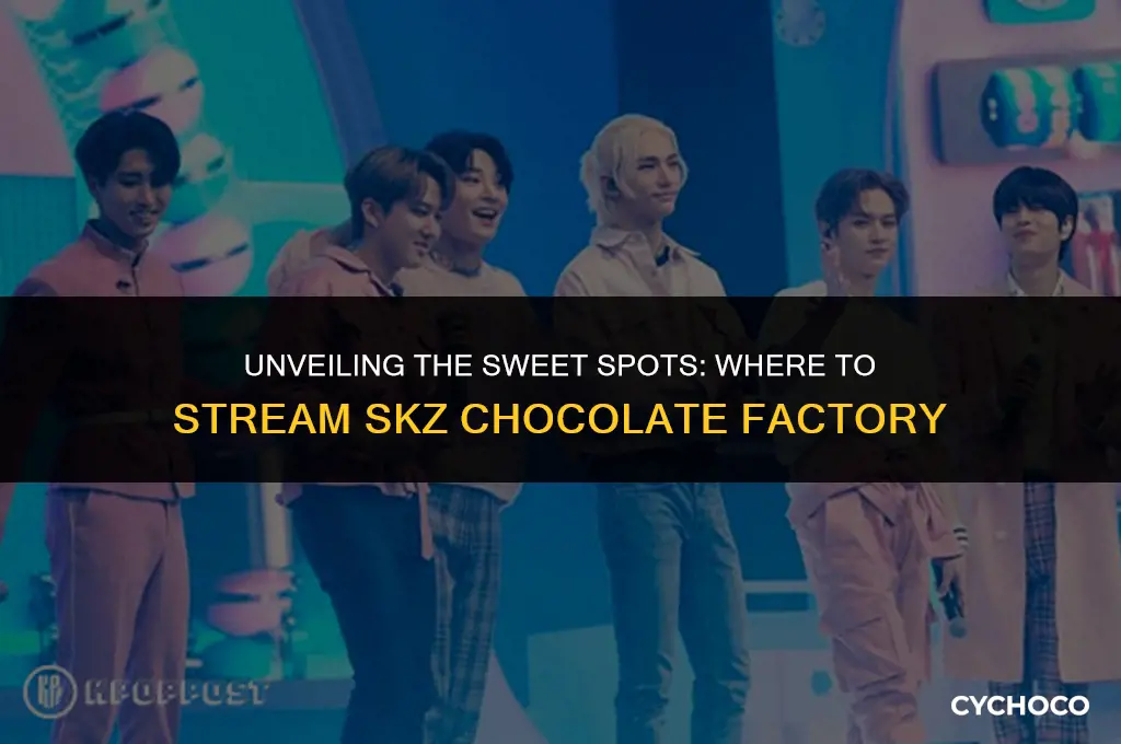 where to watch skz chocolate factory