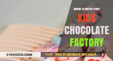 Unveiling the Ultimate Guide: Where to Watch Stray Kids' Chocolate Factory