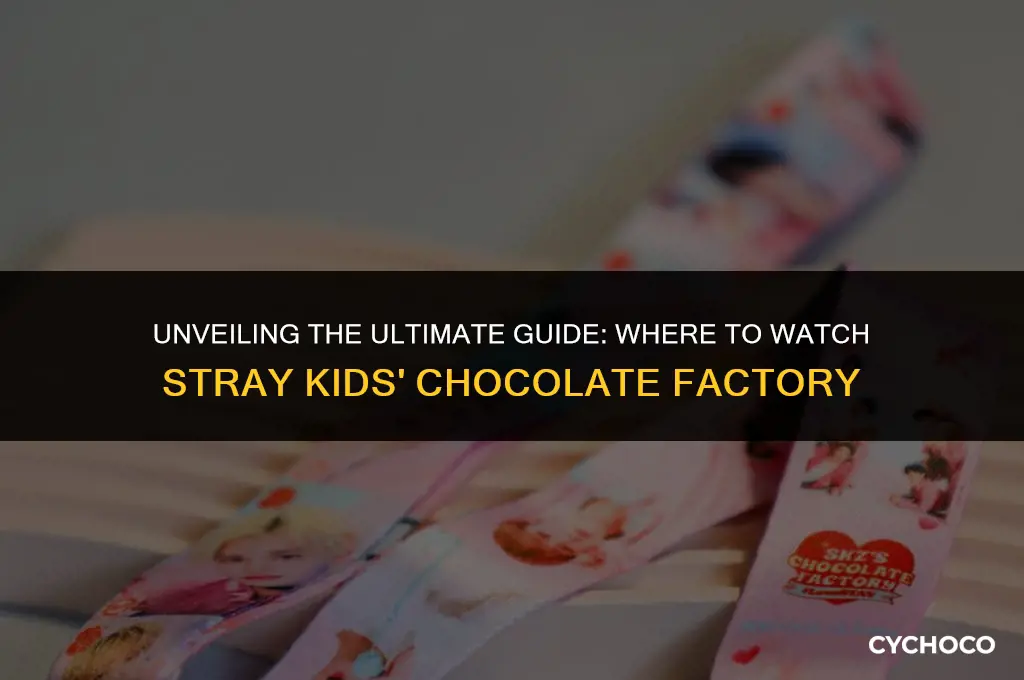 where to watch stray kids chocolate factory