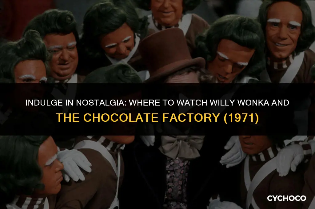 where to watch willy wonka and the chocolate factory 1971
