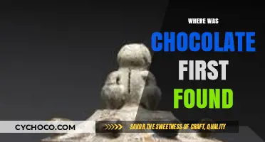 Uncovering Chocolate's Ancient Origins: Where It All Began
