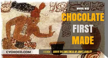 Unveiling the Ancient Origins of Chocolate: A Delicious Journey