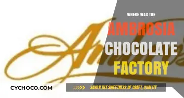 Unveiling the Sweet Legacy: Ambrosia Chocolate Factory's Historical Roots