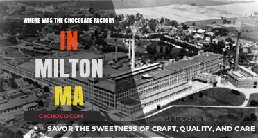 Discovering Milton, MA's Hidden Gem: The Chocolate Factory
