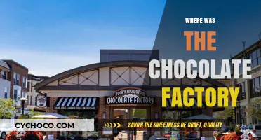 Exploring the Origins: Where Was the Chocolate Factory Located?
