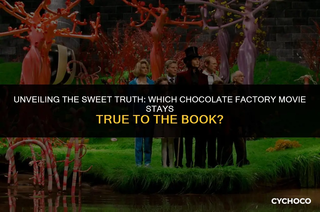 which chocolate factory movie is closer to the book