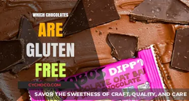 Gluten-Free Chocolate Guide: Safe and Delicious Brands to Enjoy