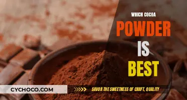 Unveiling the Finest Cocoa Powder: A Connoisseur's Guide