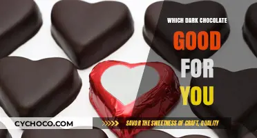 Indulge in Health: The Dark Chocolate Guide for Wellness Enthusiasts