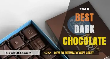 Indulge in Decadence: Unveiling the Finest Dark Chocolates