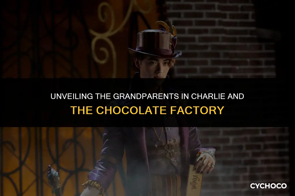who are the grandparents in charlie and the chocolate factory