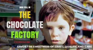 The Chocolate Factory Mishap: A Sweet Disaster Unfolds