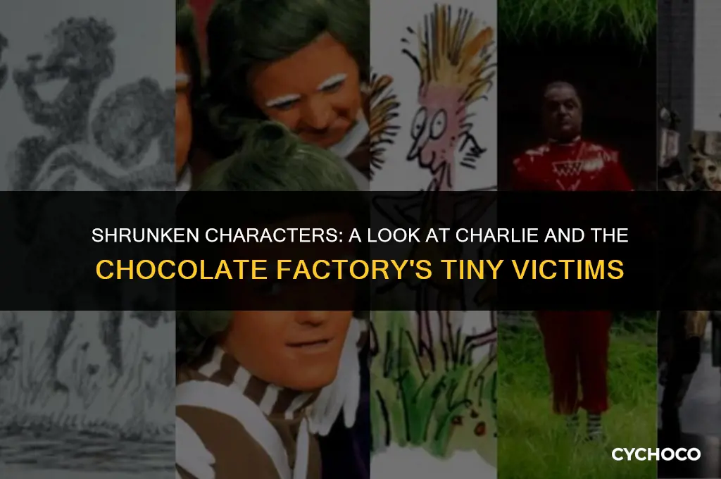 who got shrunk in charlie and the chocolate factory