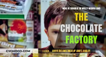 Unveiling the Mystery: Who is Charlie in Willy Wonka?