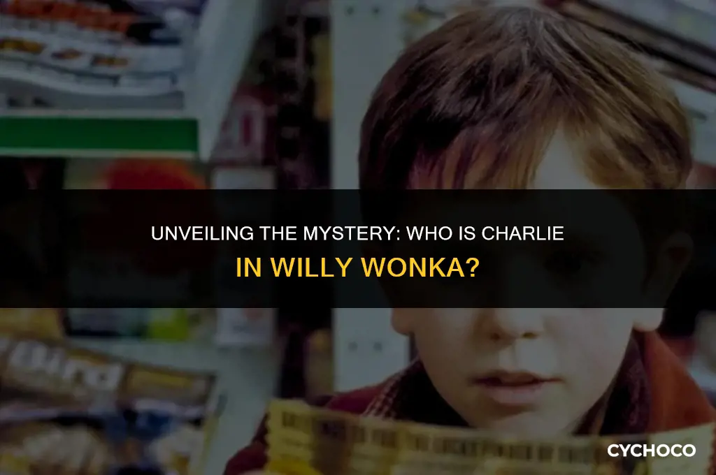 who is charlie in willy wonka and the chocolate factory